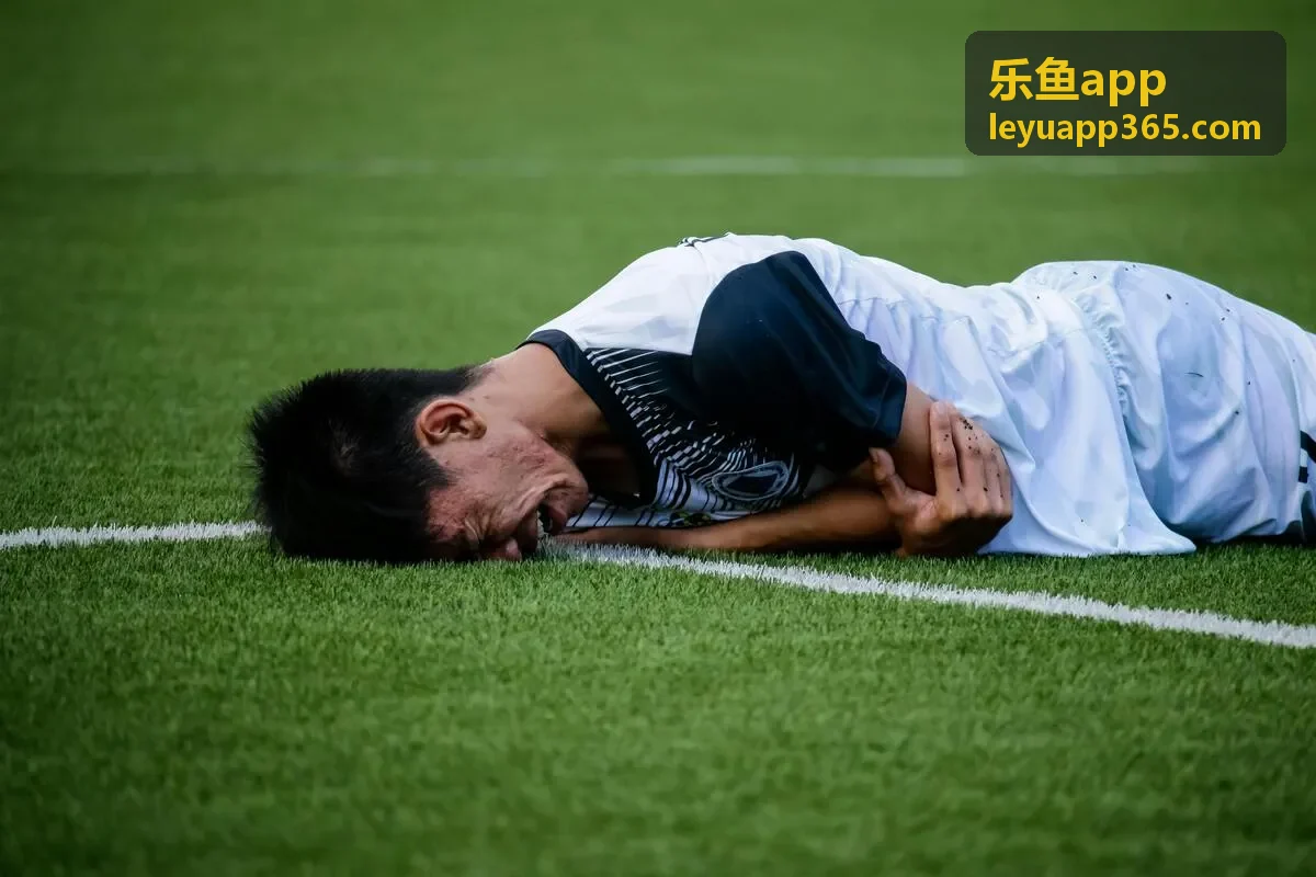 乐鱼app 市场活动管理